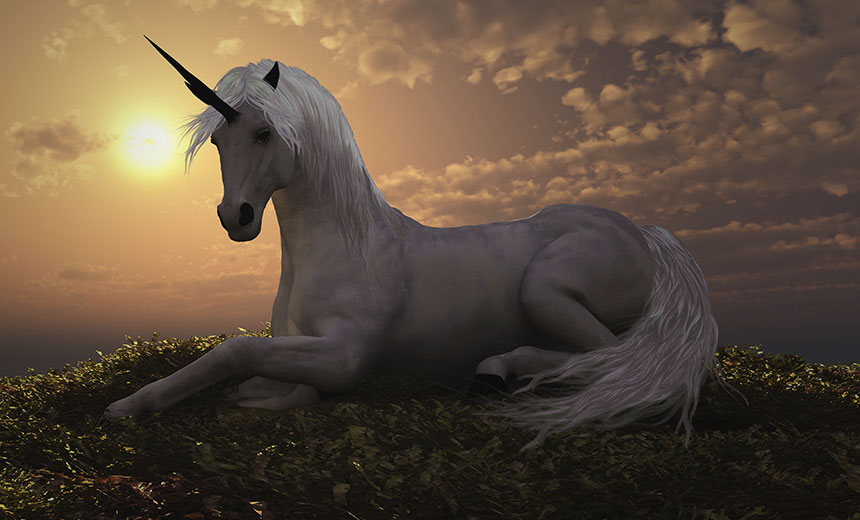 I Believe in Cybercrime Unicorns