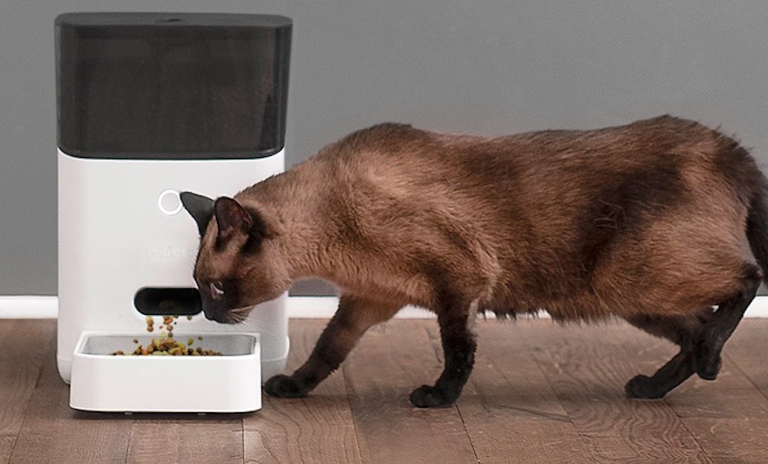 Petnet best sale cat feeder