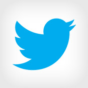 Twitter's IPO Filing: Assessing Risks