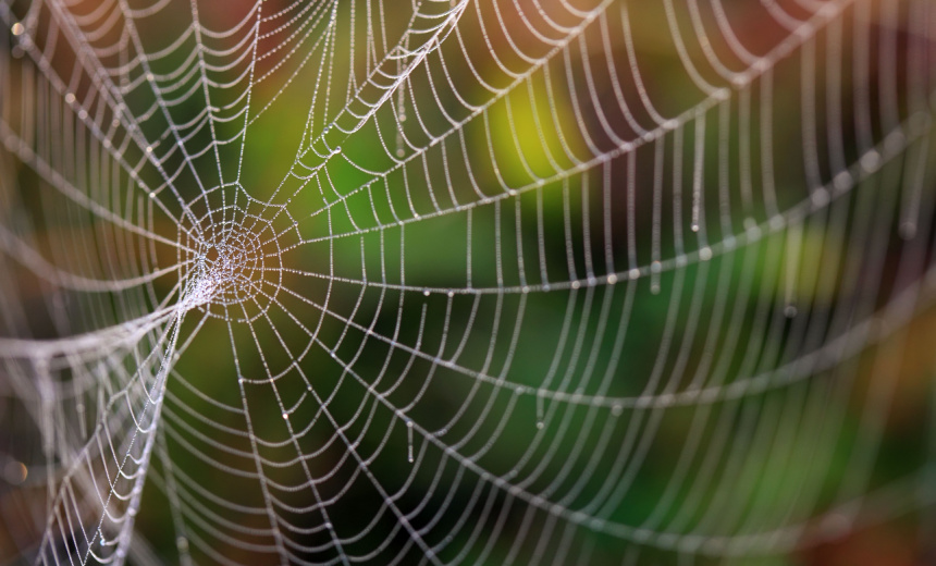 Will Arrests Squash Scattered Spider's Cybercrime Assault?